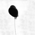 Ballon, visuel du carton de l'exposition de Cécile et Mathieu Harel-Vivier à Shaufenster à Sélestat